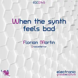 Florian Martin - When the synth feels bad