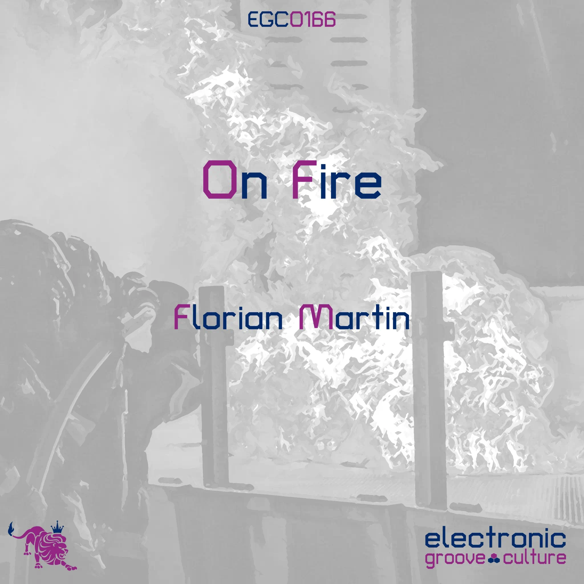 Florian Martin - On Fire